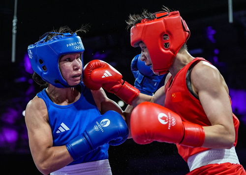 巴黎奧運會 楊文璐晉級拳擊女子60公斤級四分之一決賽,展現賽事組織與競技風采